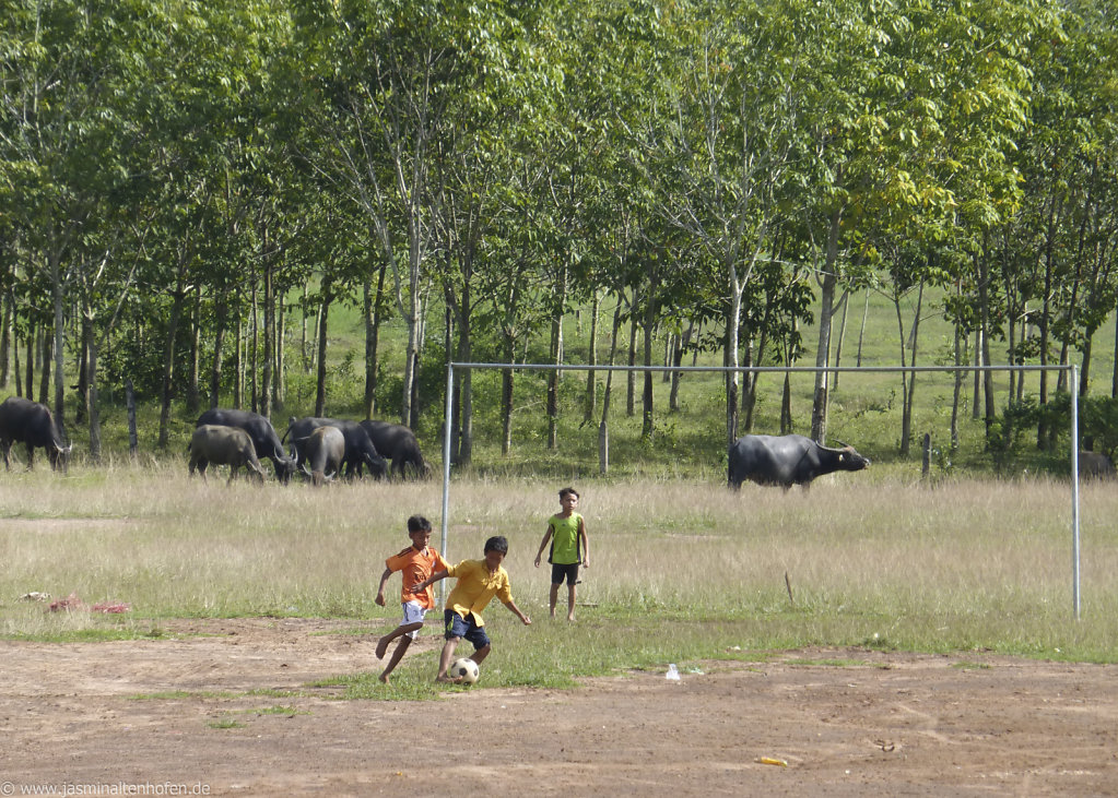 soccer field