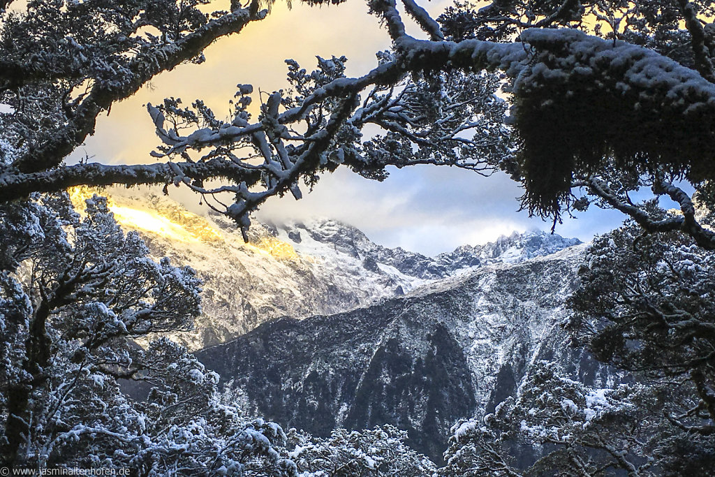 sunset in snow