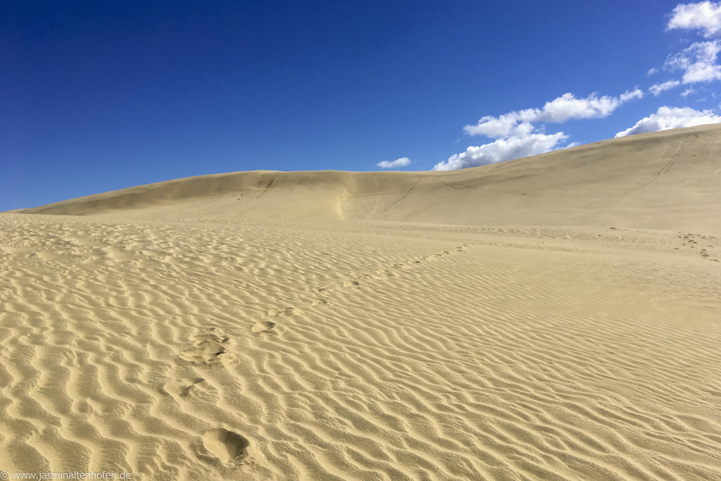 endless sand dune